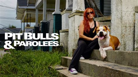 Stream Pit Bulls & Parolees .